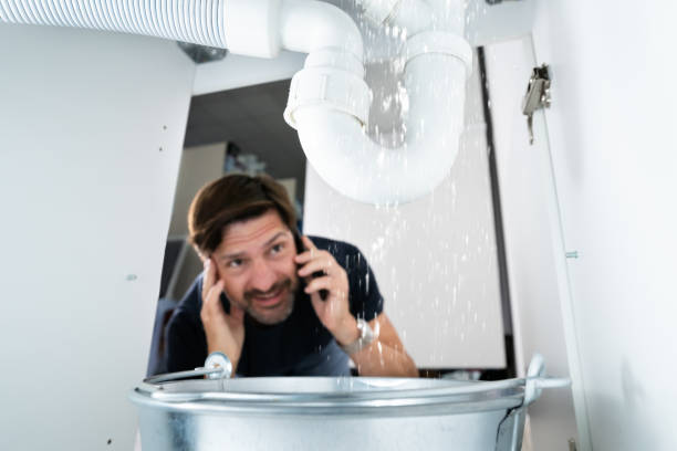 Best Plumbing Services Near Me  in Olympia Fields, IL