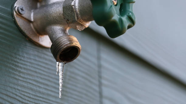 Best Shower Repair Services  in Olympia Fields, IL