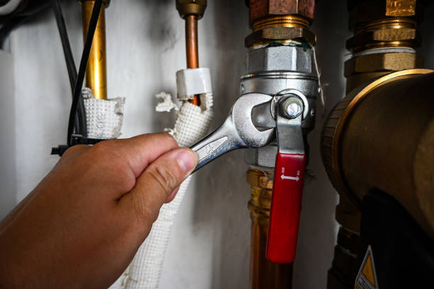 Best Toilet Repair Services  in Olympia Fields, IL